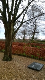 Monument onder boom